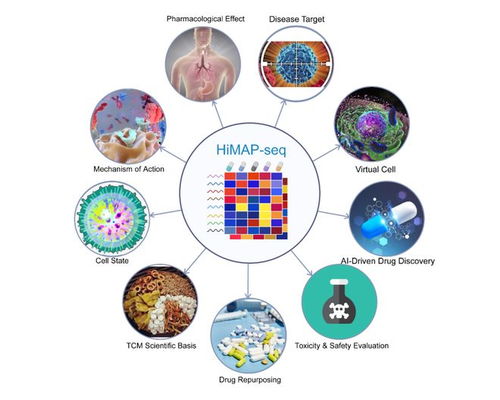 王棟、鄧赟與許俊泉團隊開發HiMAP-seq新技術并構建三億量級藥物基因表達數據庫CIGS，引領生物技術新前沿